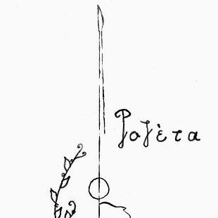 rozeta